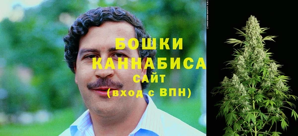 стафф Богородицк